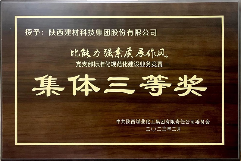 公司荣获“党支部标准化规范化建设业务竞赛”集体三等奖