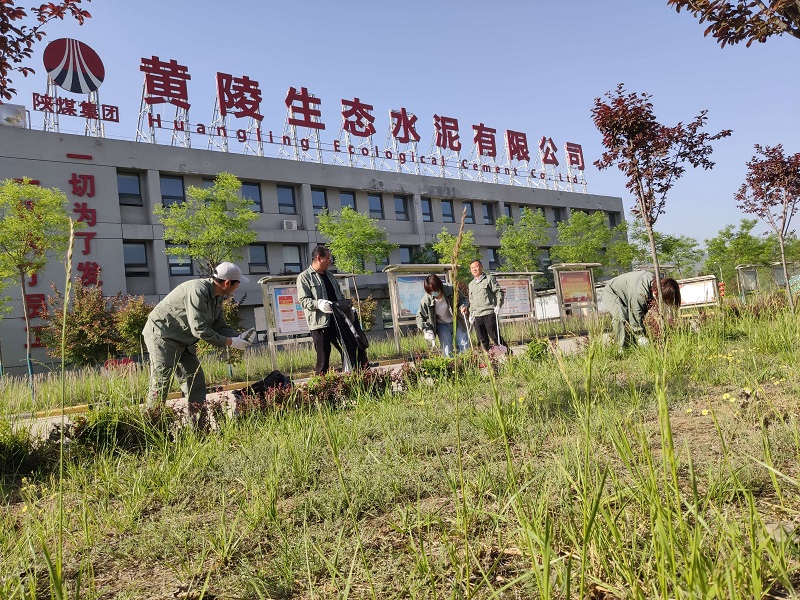 激情五月坚定初心 义务劳动彰显风采