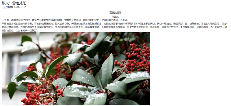 奋进陕煤 | 散文：雪落咸阳