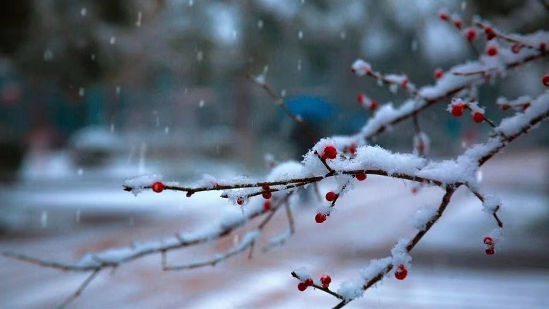 大雪无声