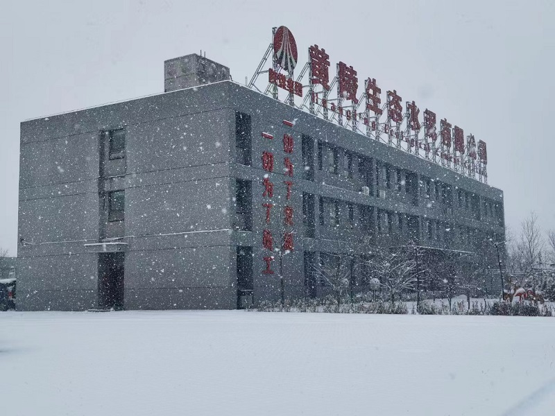 黄陵深冬，与雪共一场清欢