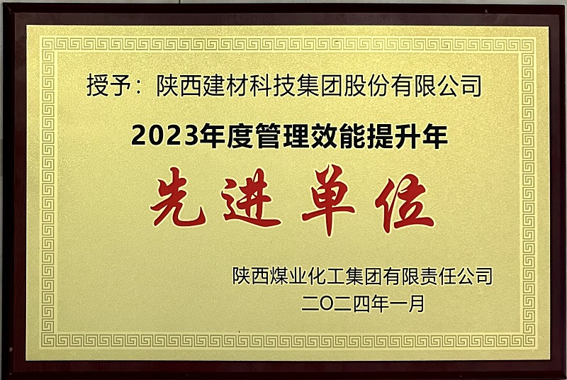 公司荣获2023年度管理效能提升年先进单位