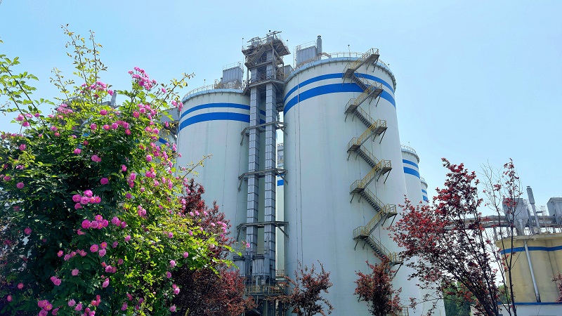 深耕“四种经营理念” 听建材科技作答（第十二辑）